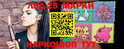 spice Кулебаки