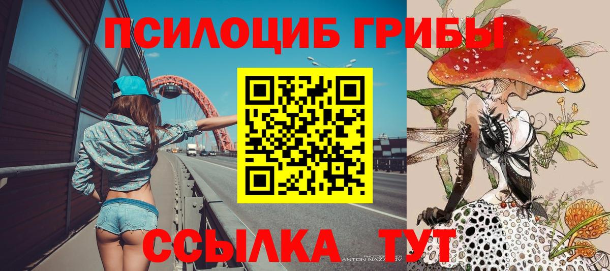 Галлюциногенные грибы ЛСД  Псилоцибиновые грибы ЛСД  Грязи  Вход с VPN 