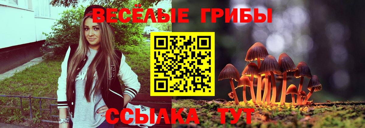 Галлюциногенные грибы MAGIC MUSHROOMS Грязи